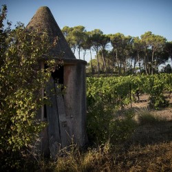 vignoble la maurette 3